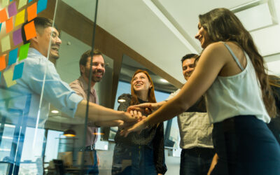 The 4 Trust Building Behaviours of a High-Performing Team